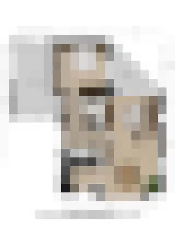 Wolfsputten 4 Prinsenbeek thumbnail 47
