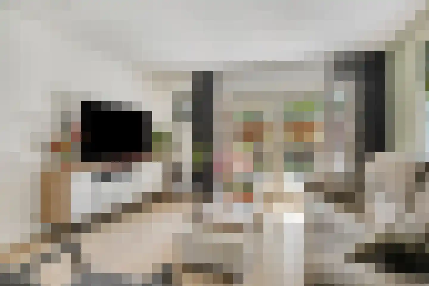 Wolfsputten 4 Prinsenbeek thumbnail 8