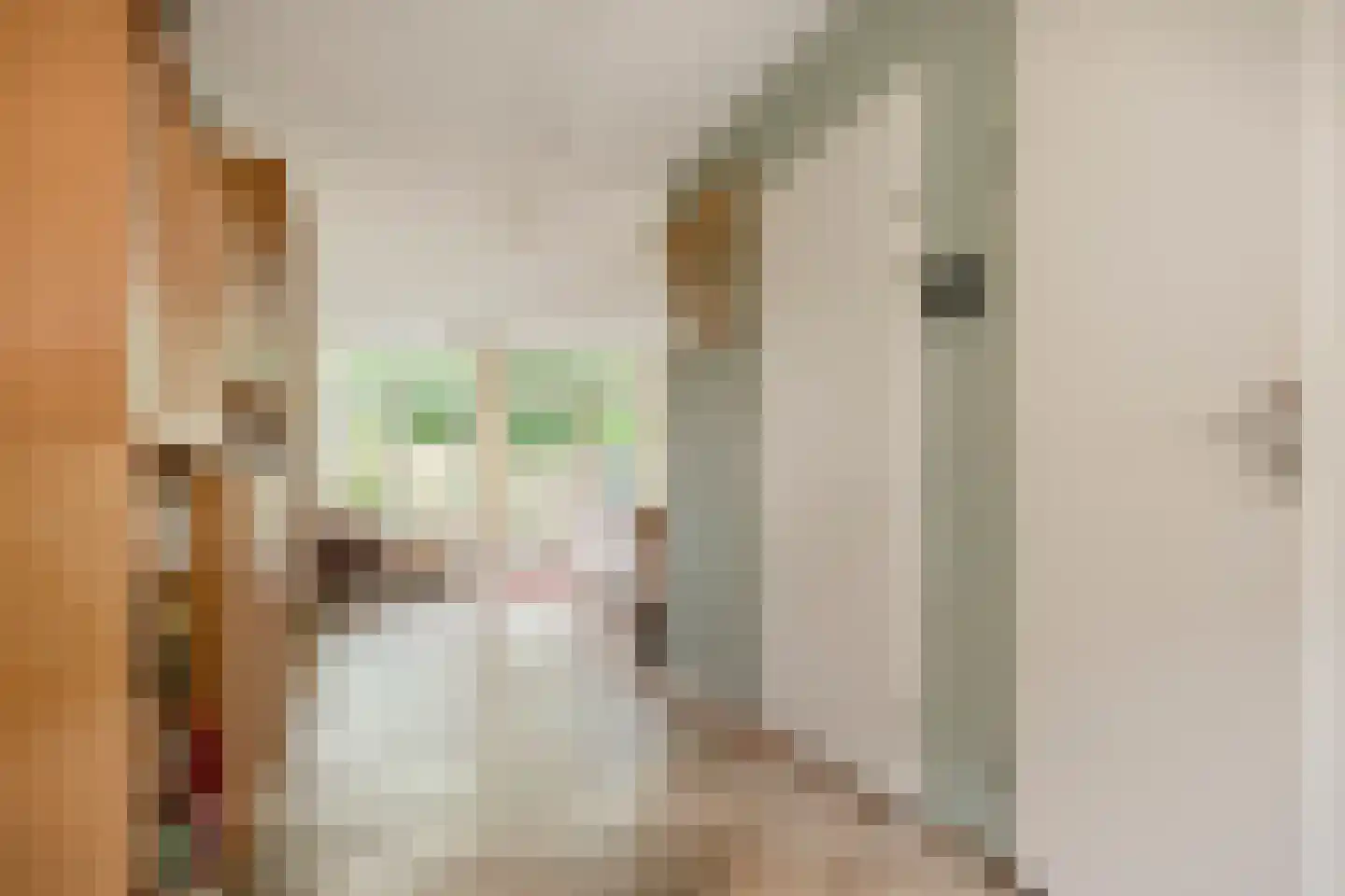 Wolfstedelaan 2 Eemnes thumbnail 10