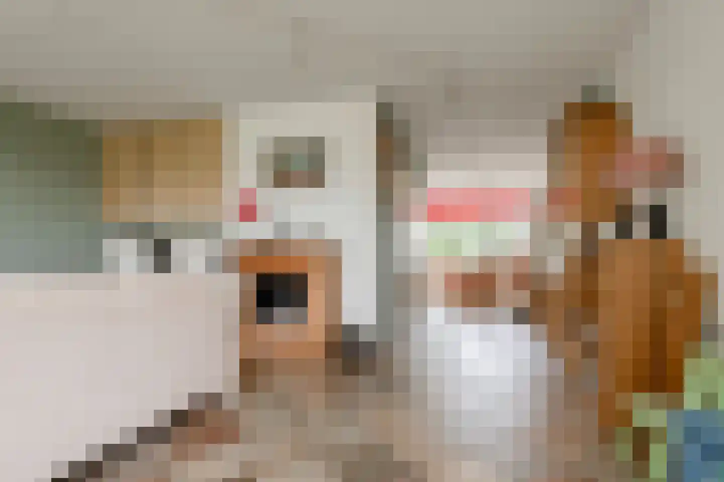 Wolfstedelaan 2 Eemnes thumbnail 13