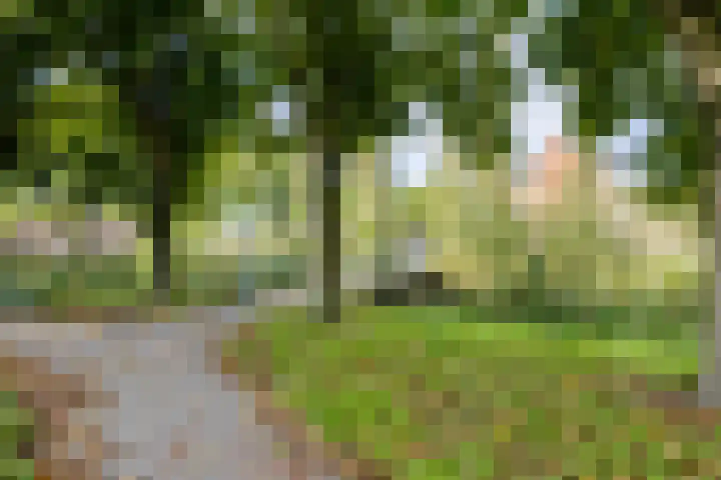 Wolfstedelaan 2 Eemnes thumbnail 44