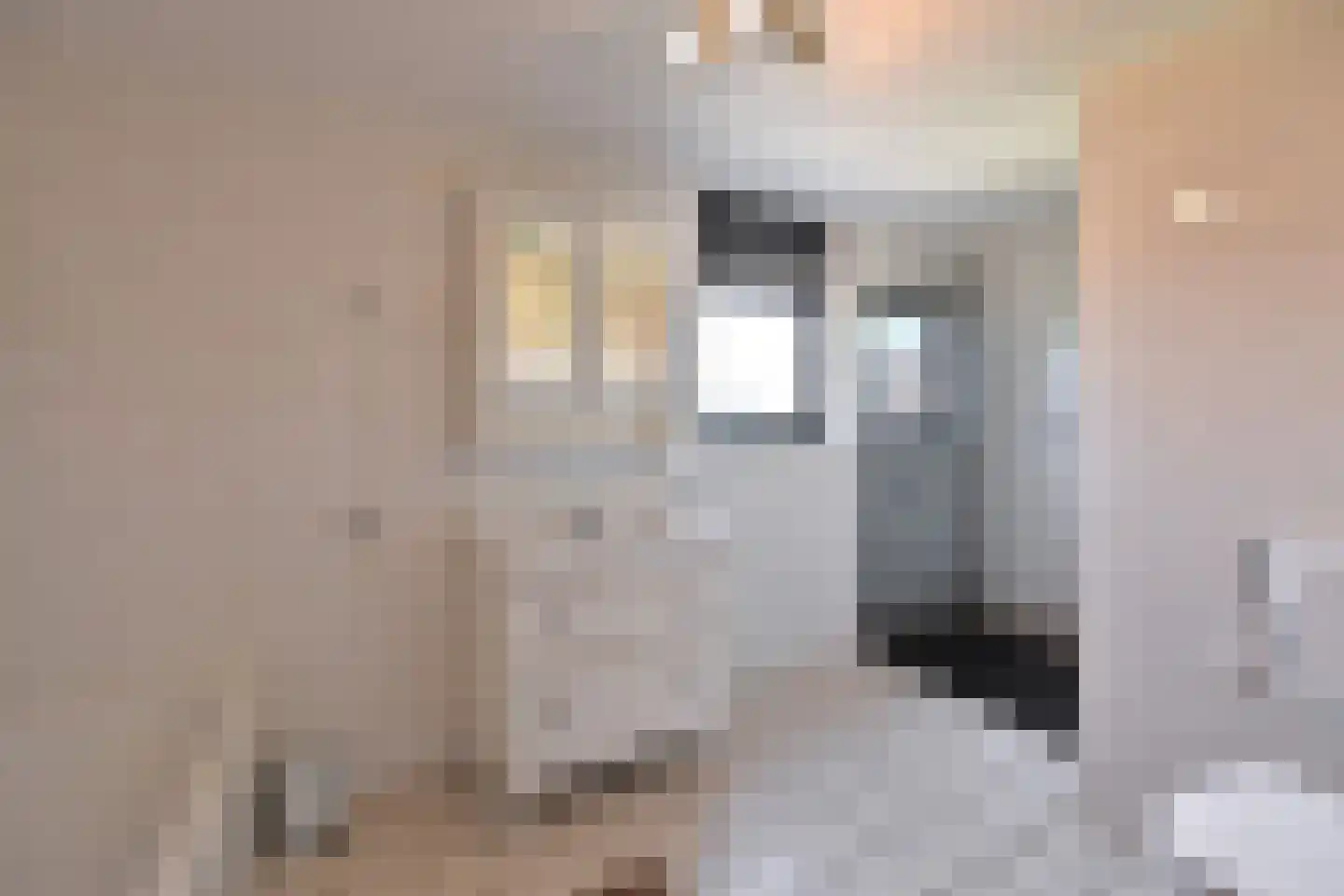 Wolfstedelaan 74 Eemnes thumbnail 14