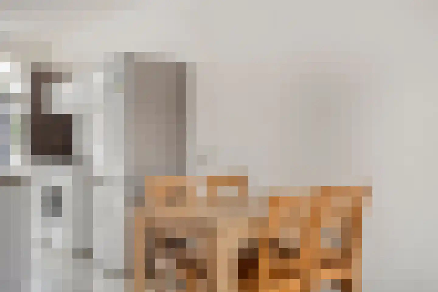 Wolfstraat 11 Helmond thumbnail 13