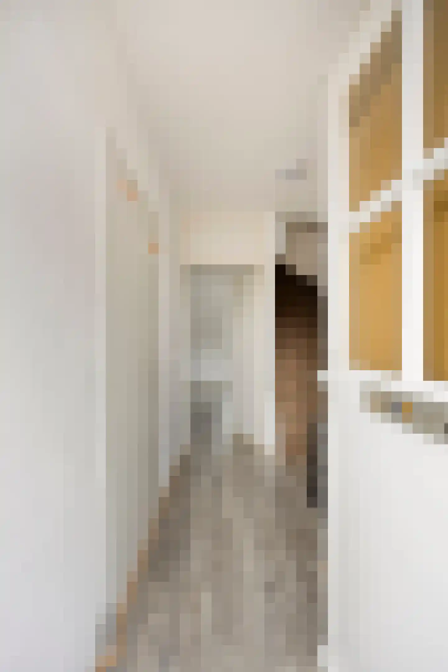 Wolfstraat 11 Helmond thumbnail 5