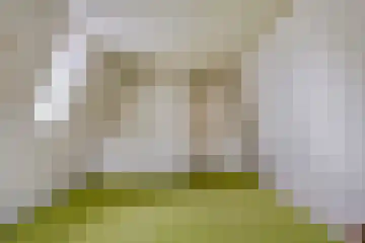 Wolfstraat 138 Helmond thumbnail 25