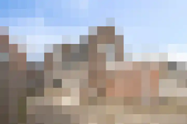 Wolfstraat 138 Helmond thumbnail 32