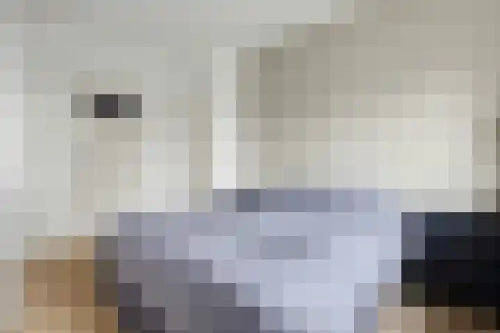 Wolfstraat 2 Nijmegen thumbnail 19