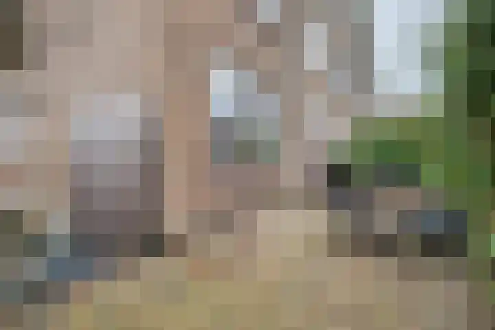 Wolfstraat 2 Nijmegen thumbnail 33