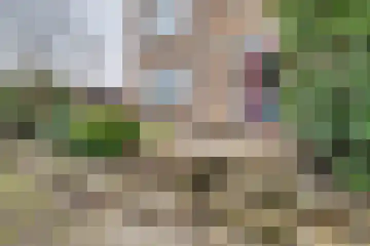 Wolfstraat 2 Nijmegen thumbnail 34