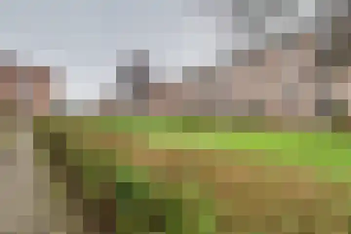 Wolfstraat 2 Nijmegen thumbnail 35
