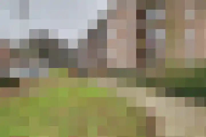 Wolfstraat 2 Nijmegen thumbnail 36