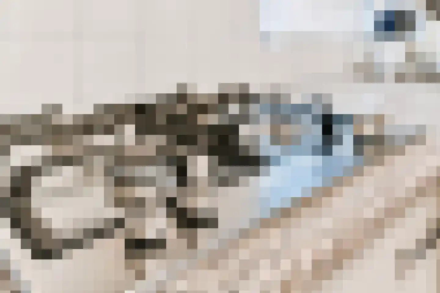 Wolfstraat 23 Odiliapeel thumbnail 18