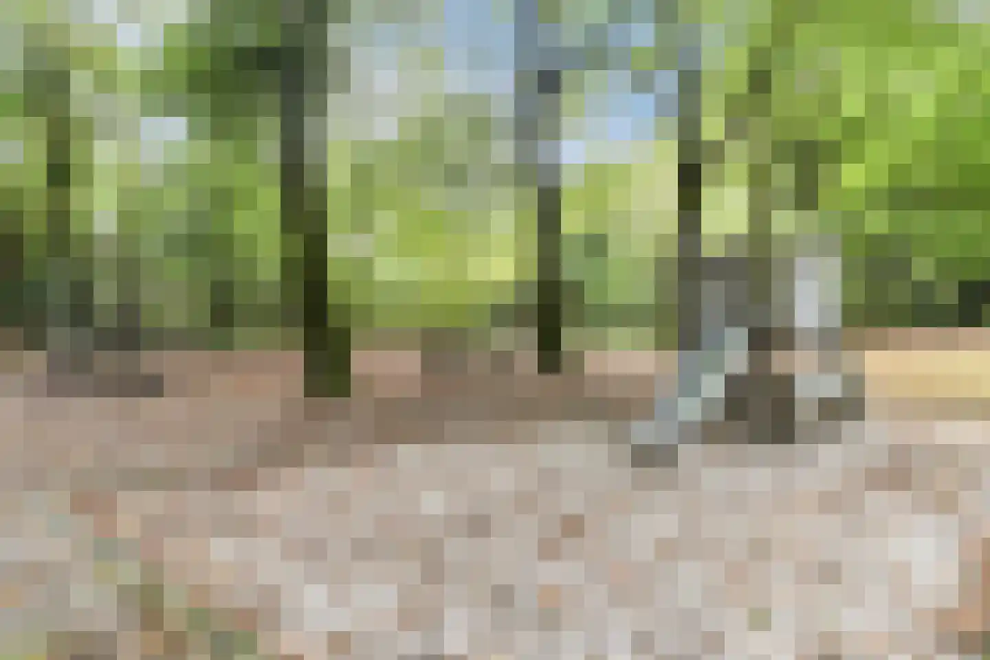 Wolfstraat 23 Odiliapeel thumbnail 42