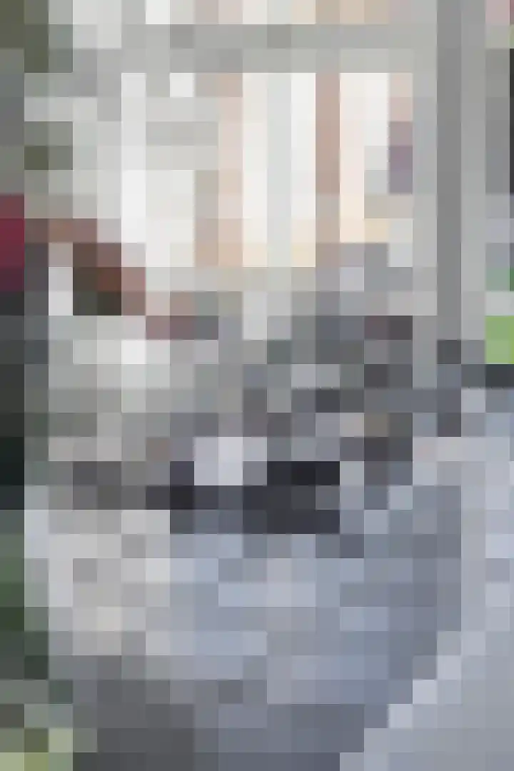 Wolfstraat 26 Helmond thumbnail 12