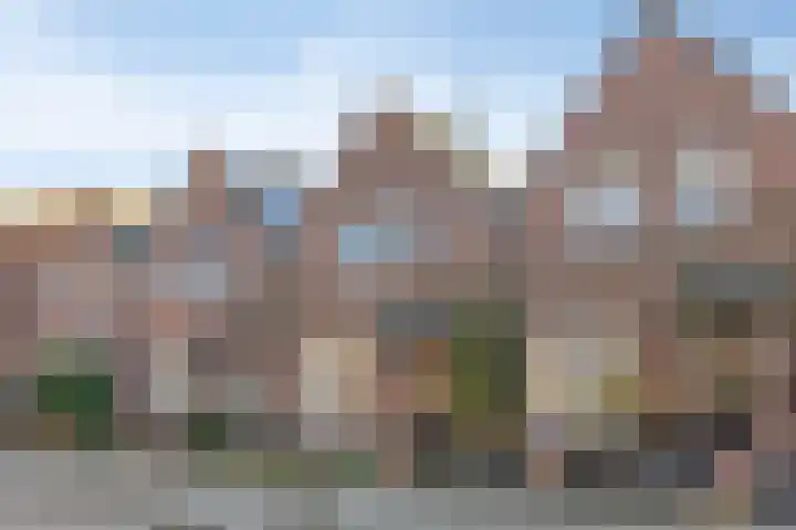 Wolfstraat 26 Helmond thumbnail 25