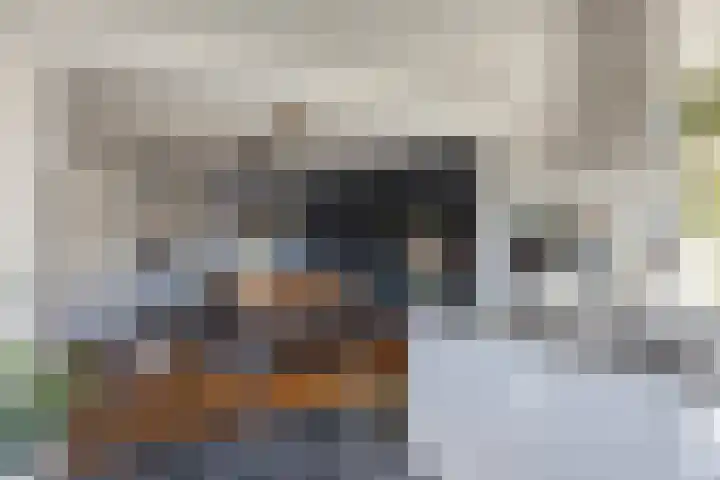 Wolfstraat 26 Helmond thumbnail 8