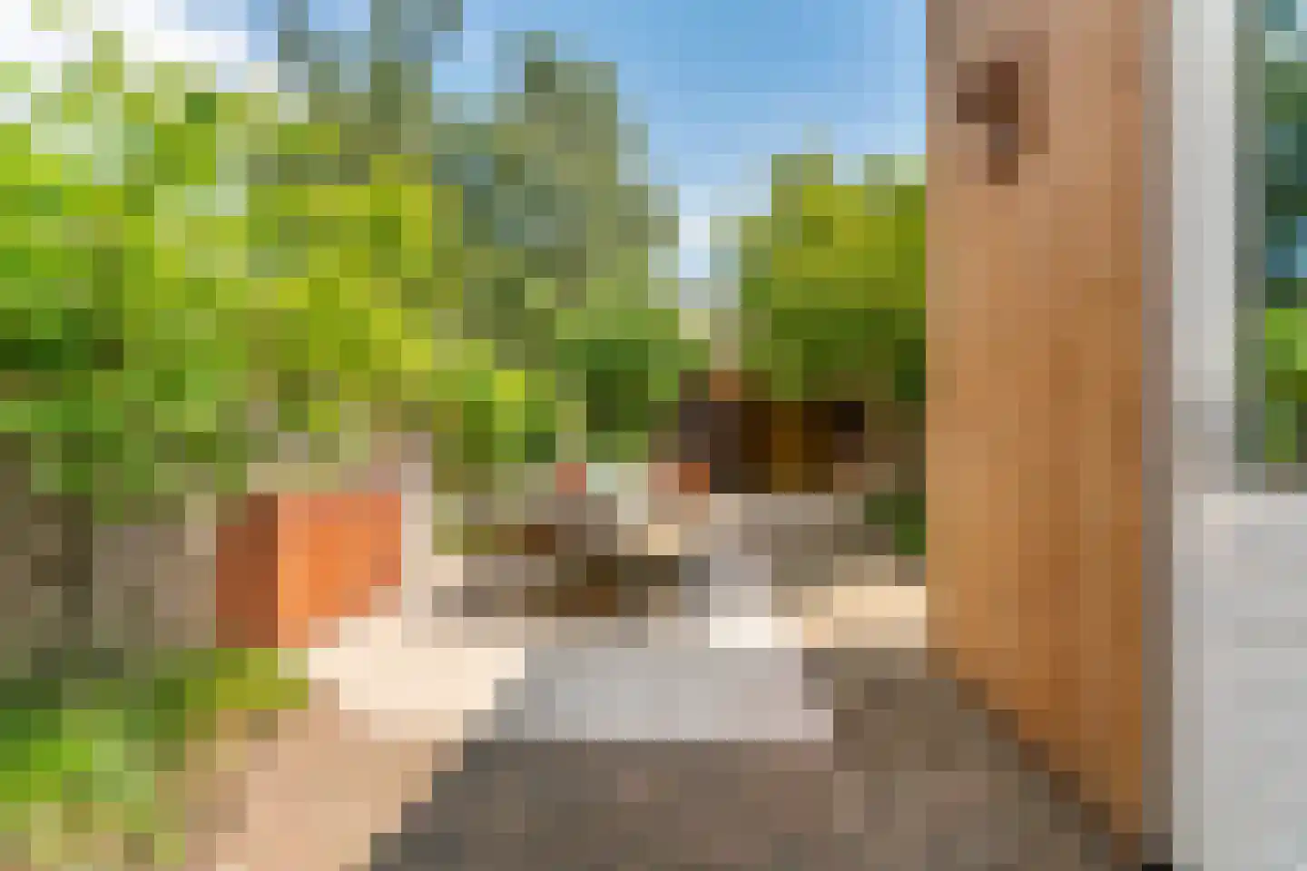 Wolfstraat 3 Nijmegen thumbnail 12