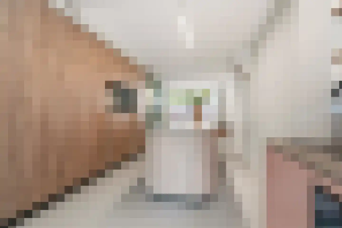 Wolfstraat 3 Nijmegen thumbnail 5