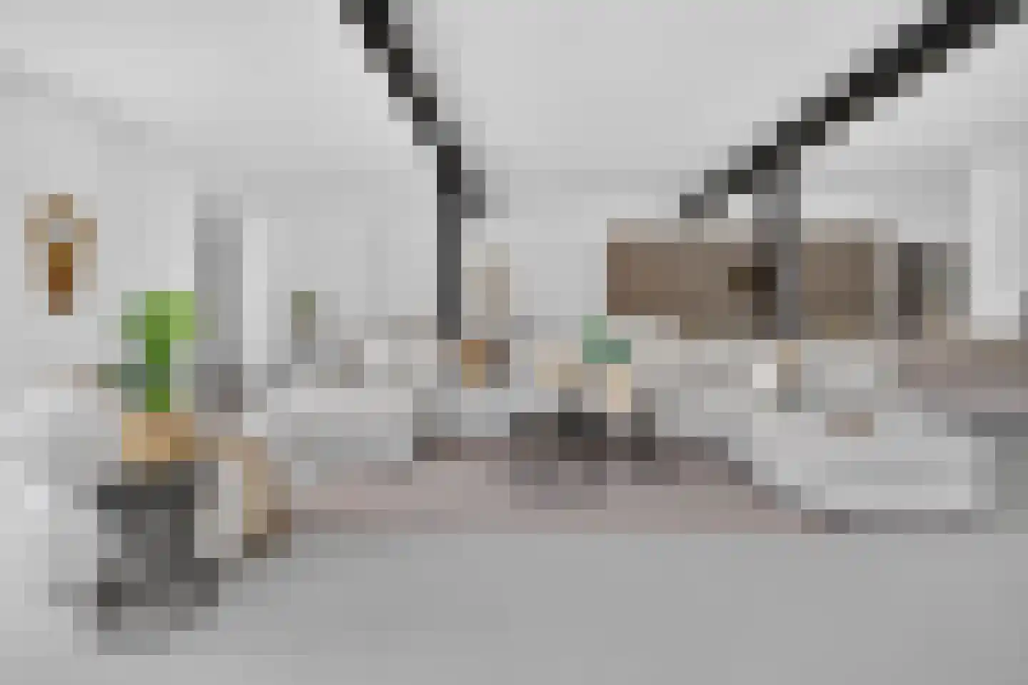 Wolfstraat 34 Helmond thumbnail 12