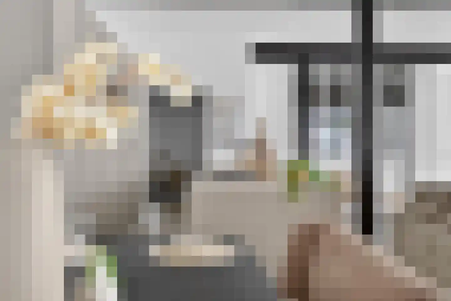 Wolfstraat 34 Helmond thumbnail 26