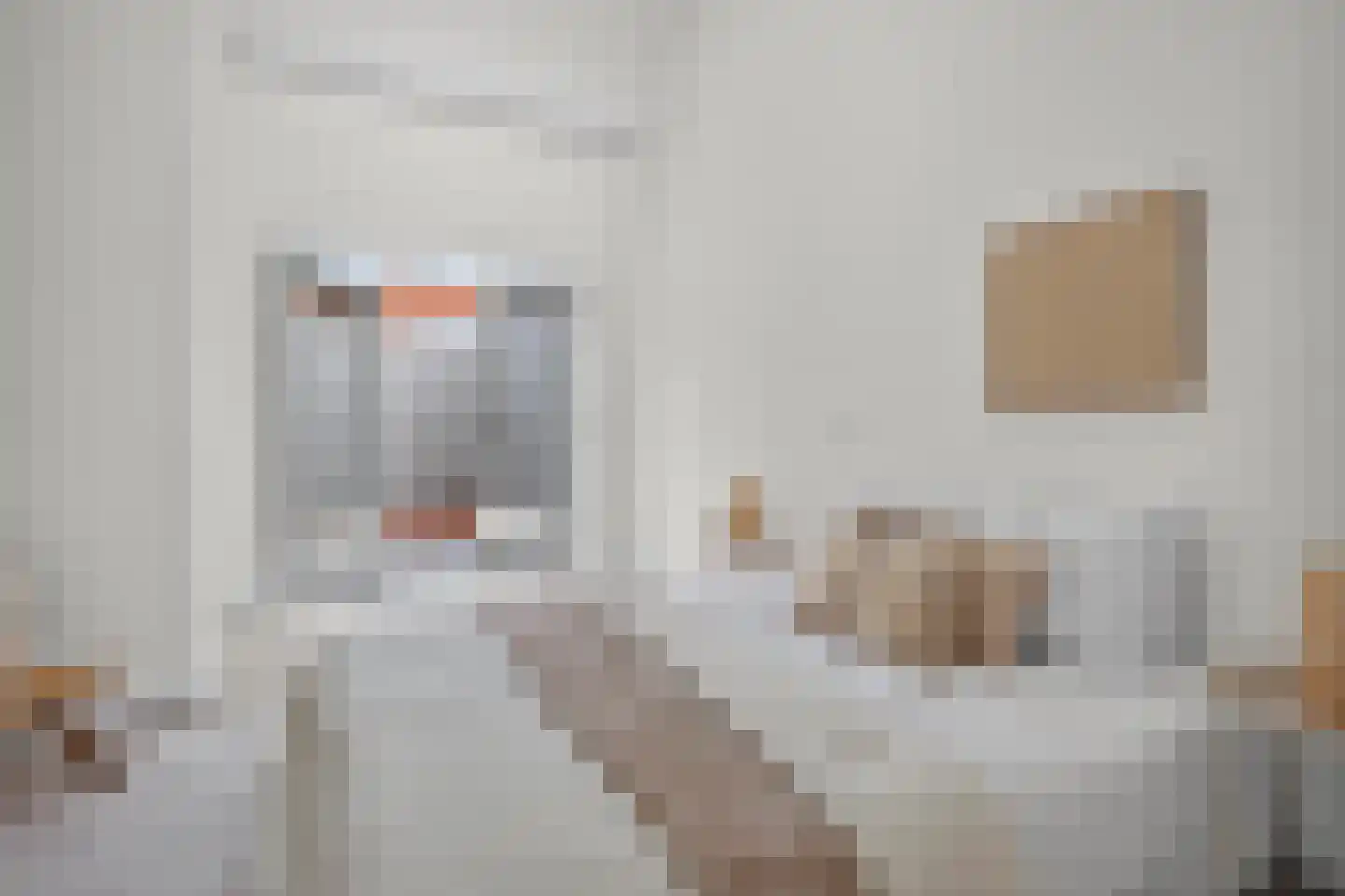 Wolfstraat 34 Helmond thumbnail 39