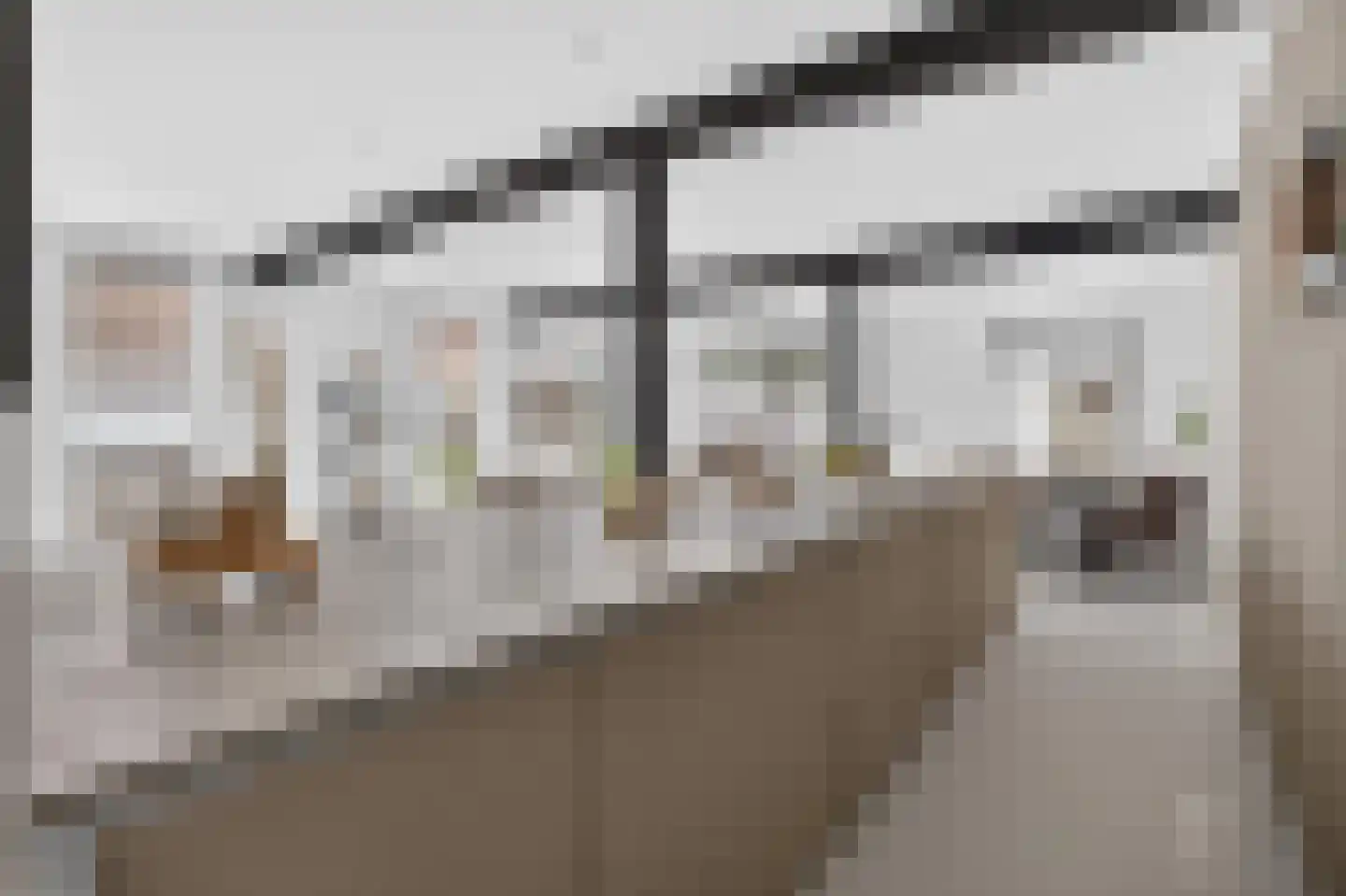 Wolfstraat 34 Helmond thumbnail 5