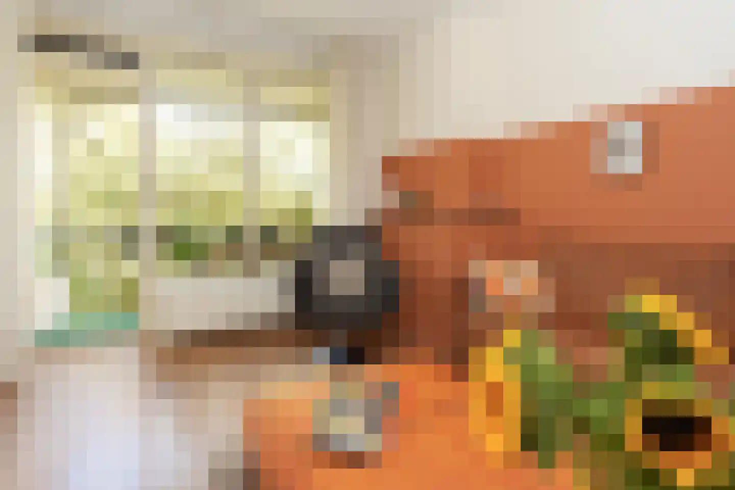 Wolfstraat 74 Nijmegen thumbnail 17