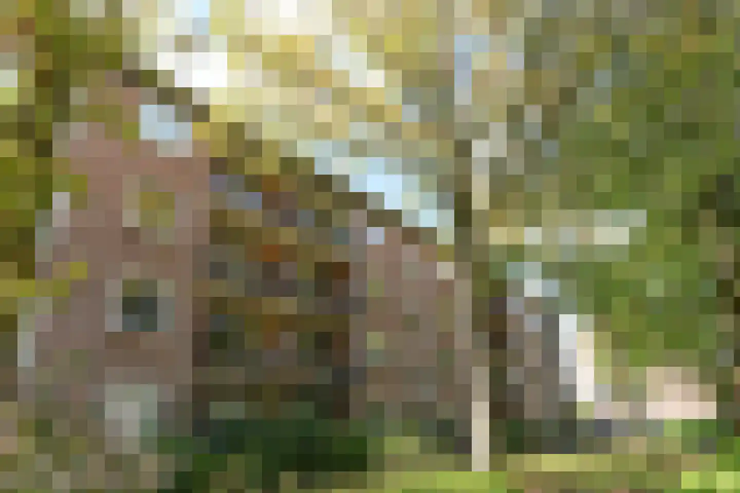 Wolfstraat 74 Nijmegen thumbnail 35