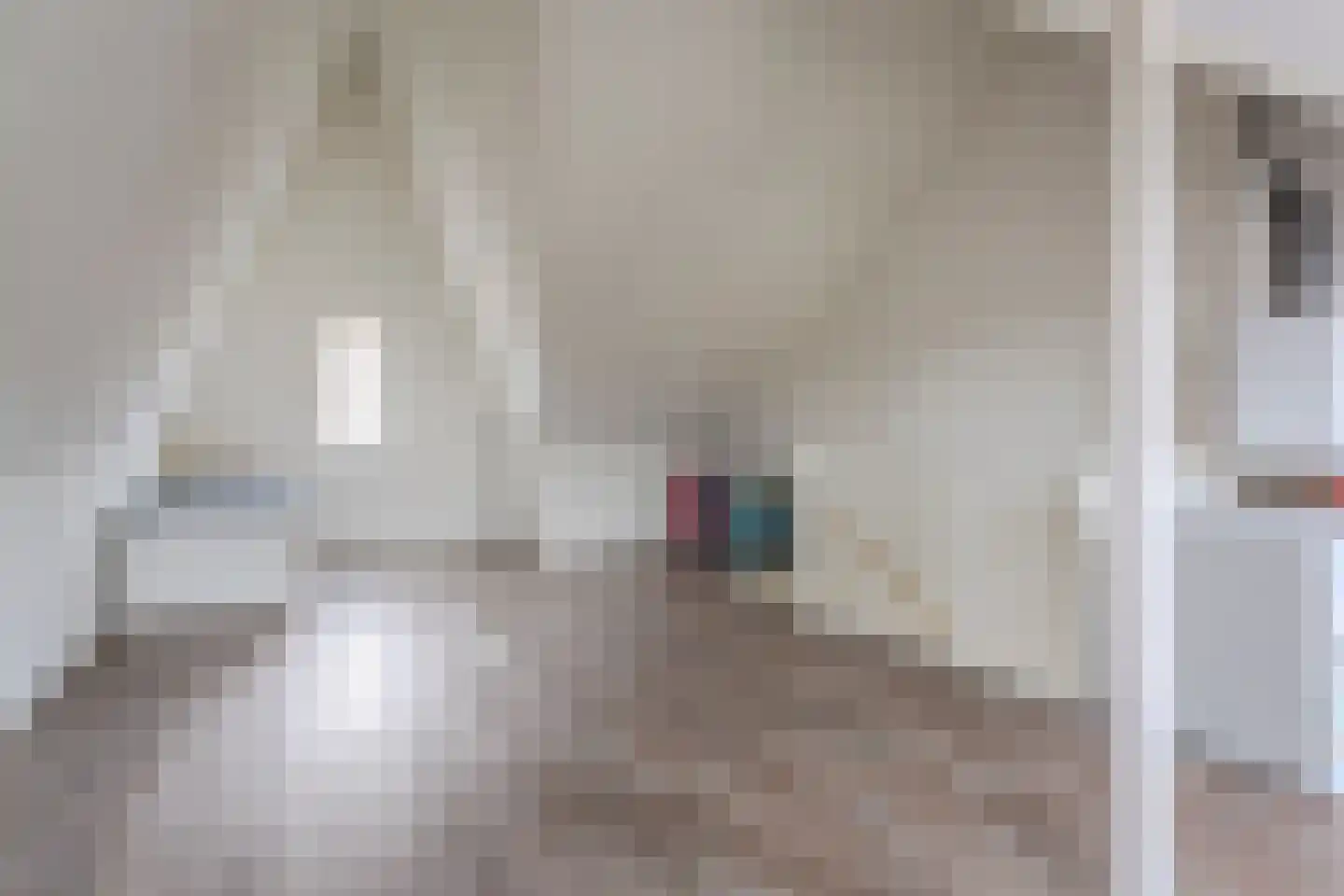 Wolfstraat 87 Helmond thumbnail 31