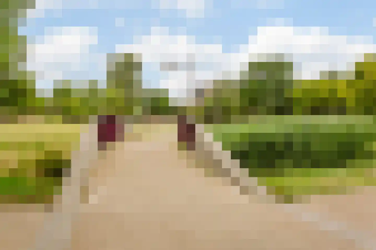 Wolfstraat 87 Helmond thumbnail 39
