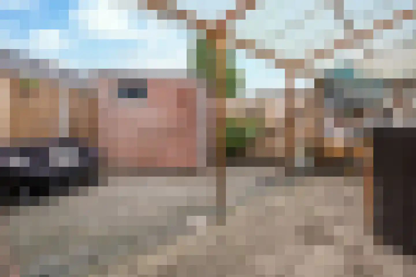 Wolfstraat 97 Helmond thumbnail 32