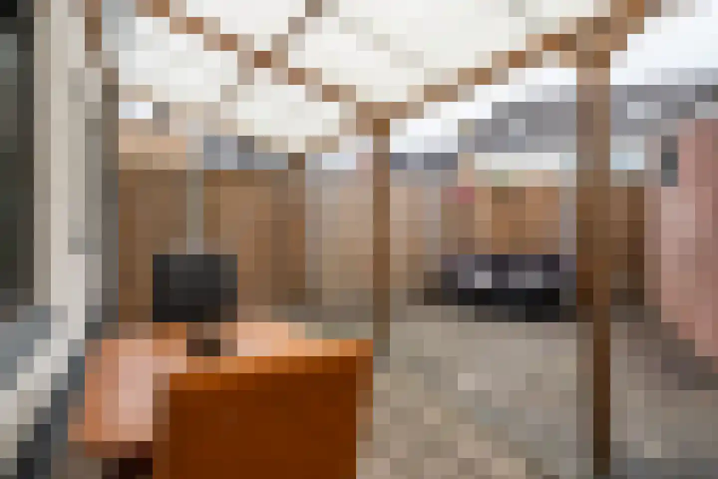 Wolfstraat 97 Helmond thumbnail 33