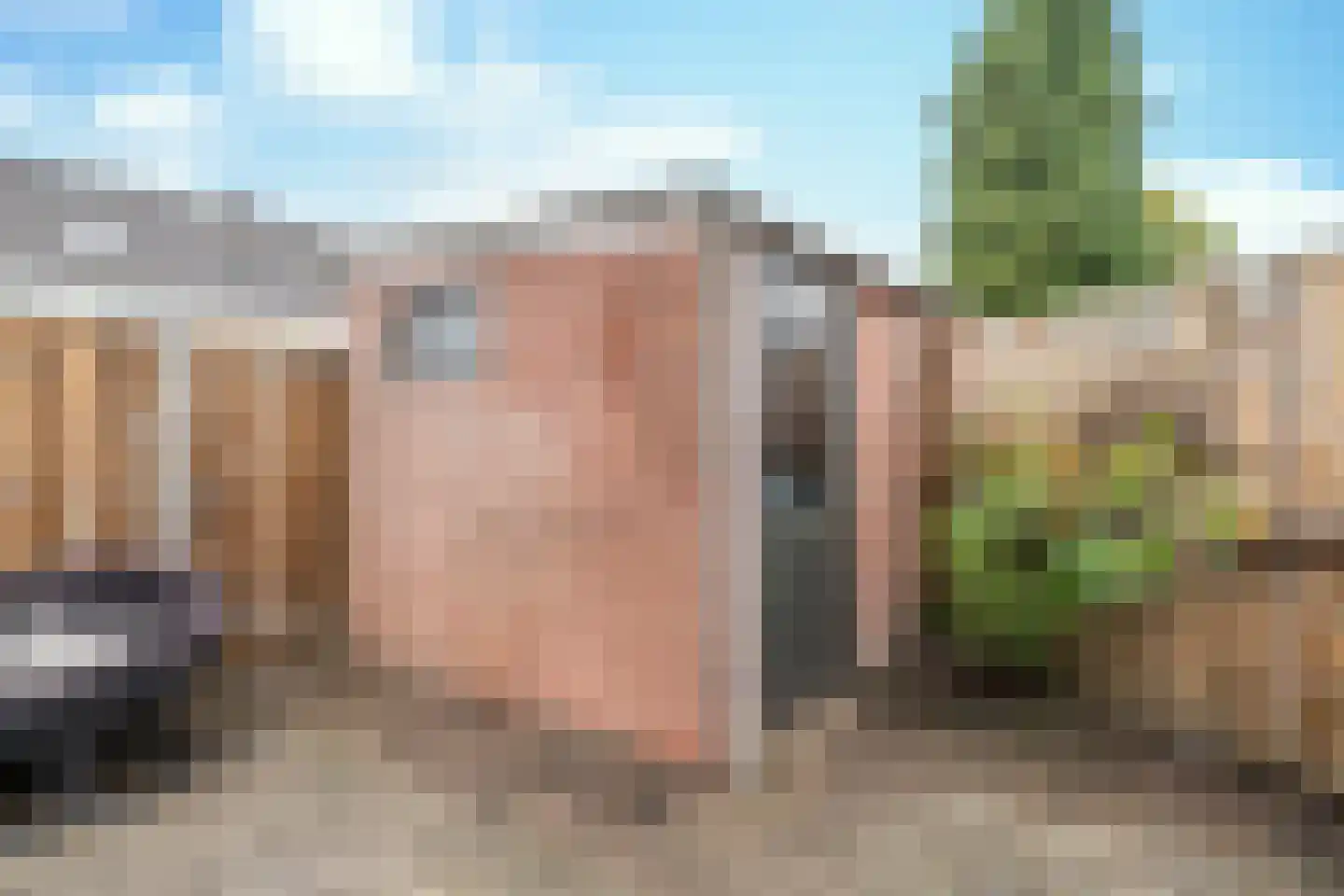 Wolfstraat 97 Helmond thumbnail 34