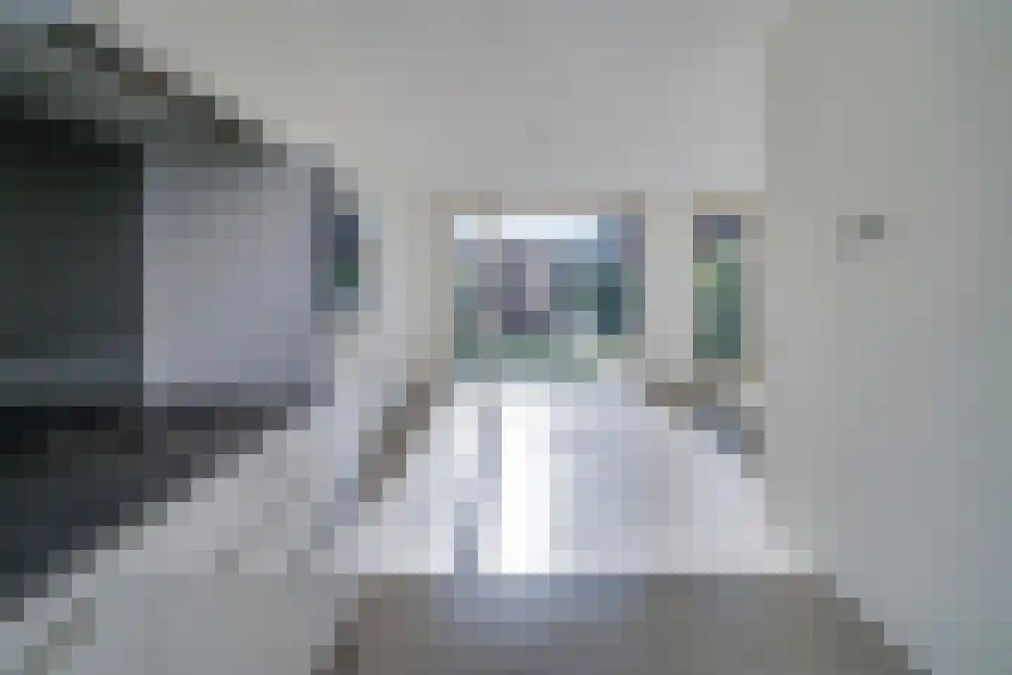 Wolfstraat 98 Helmond thumbnail 11