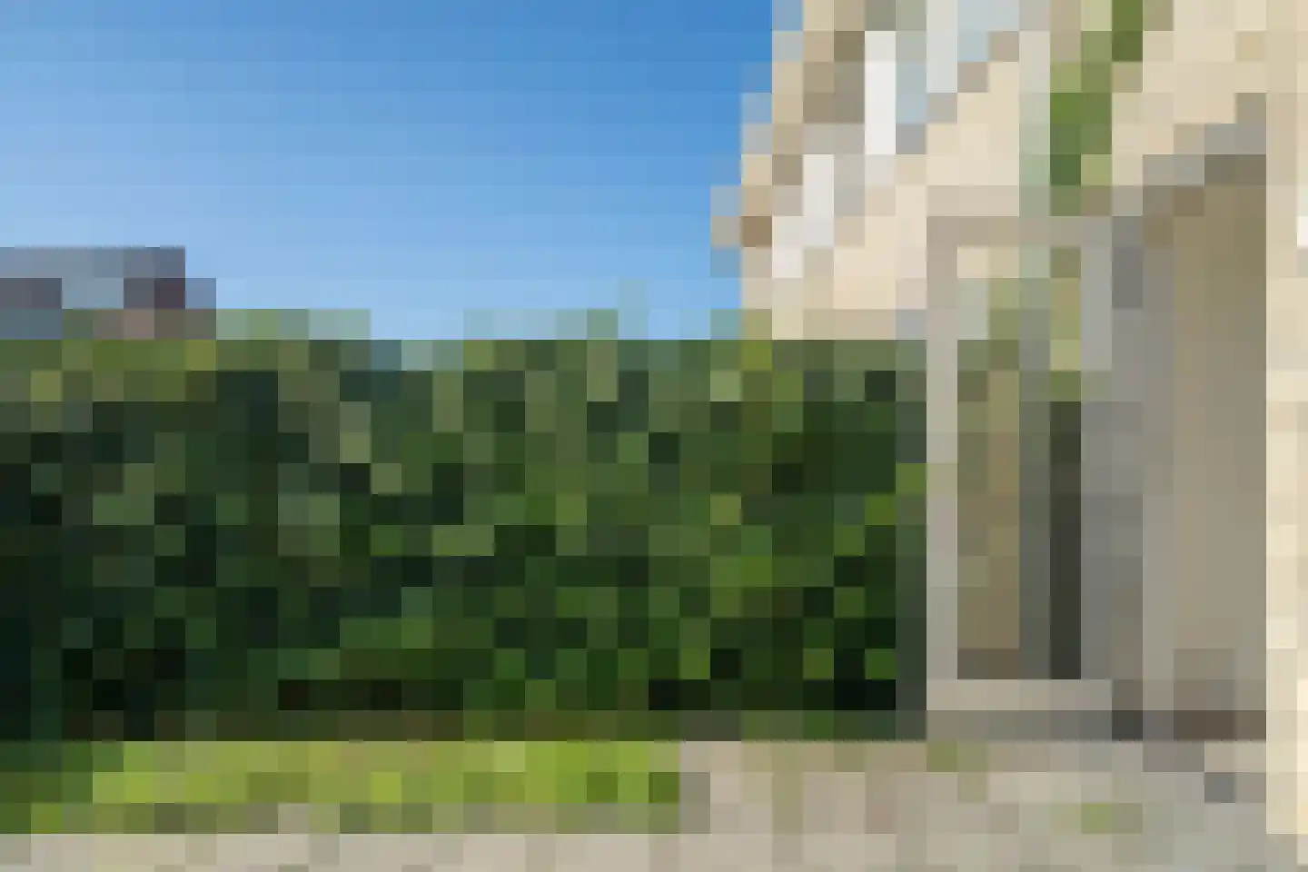 Wolfstraat 98 Helmond thumbnail 35