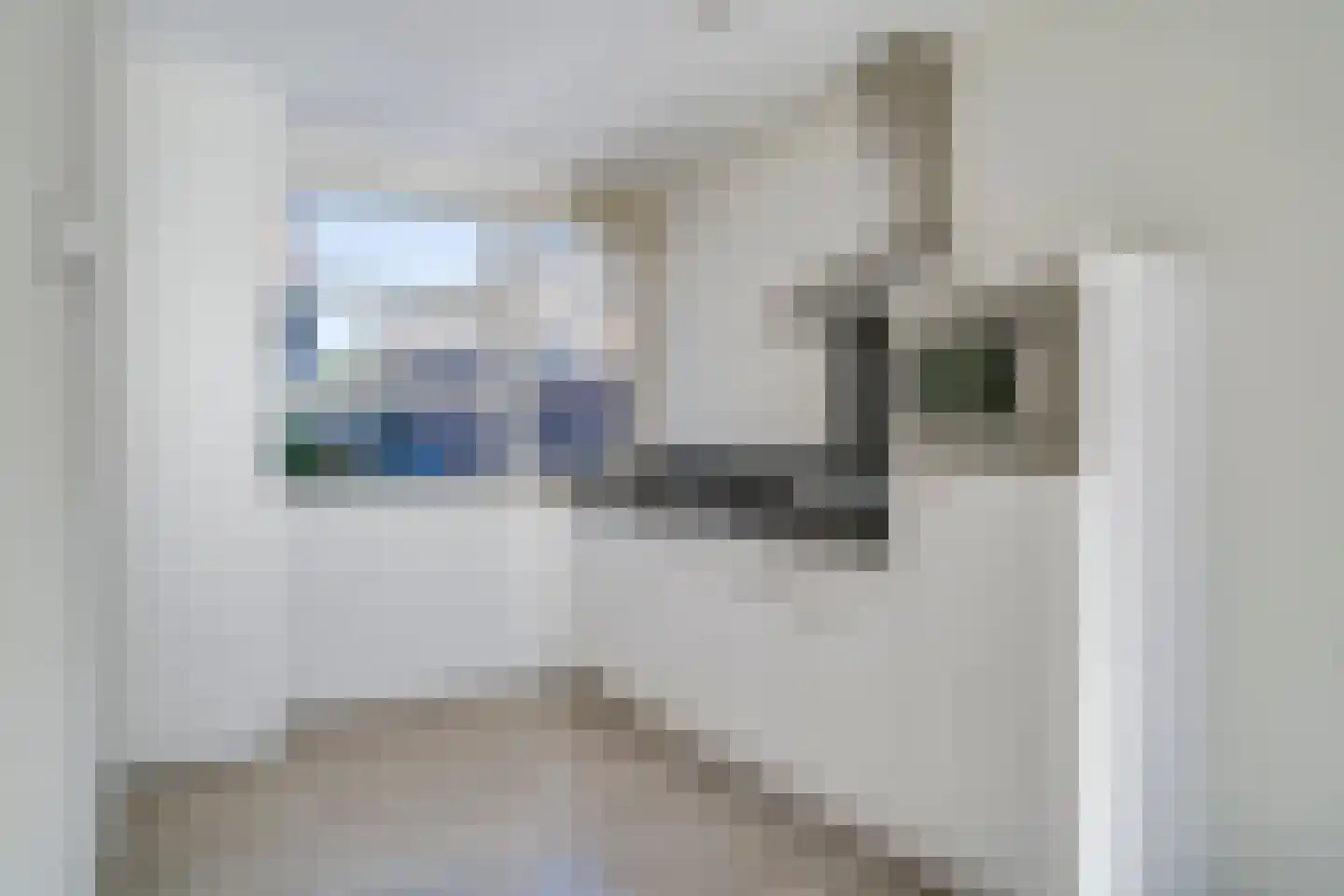 Wolfstraat 98 Helmond thumbnail 8