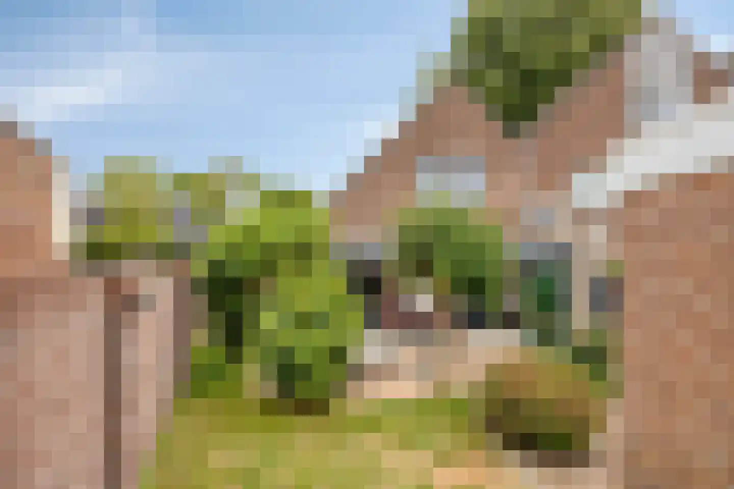 Wolfsveld 36 Someren thumbnail 30