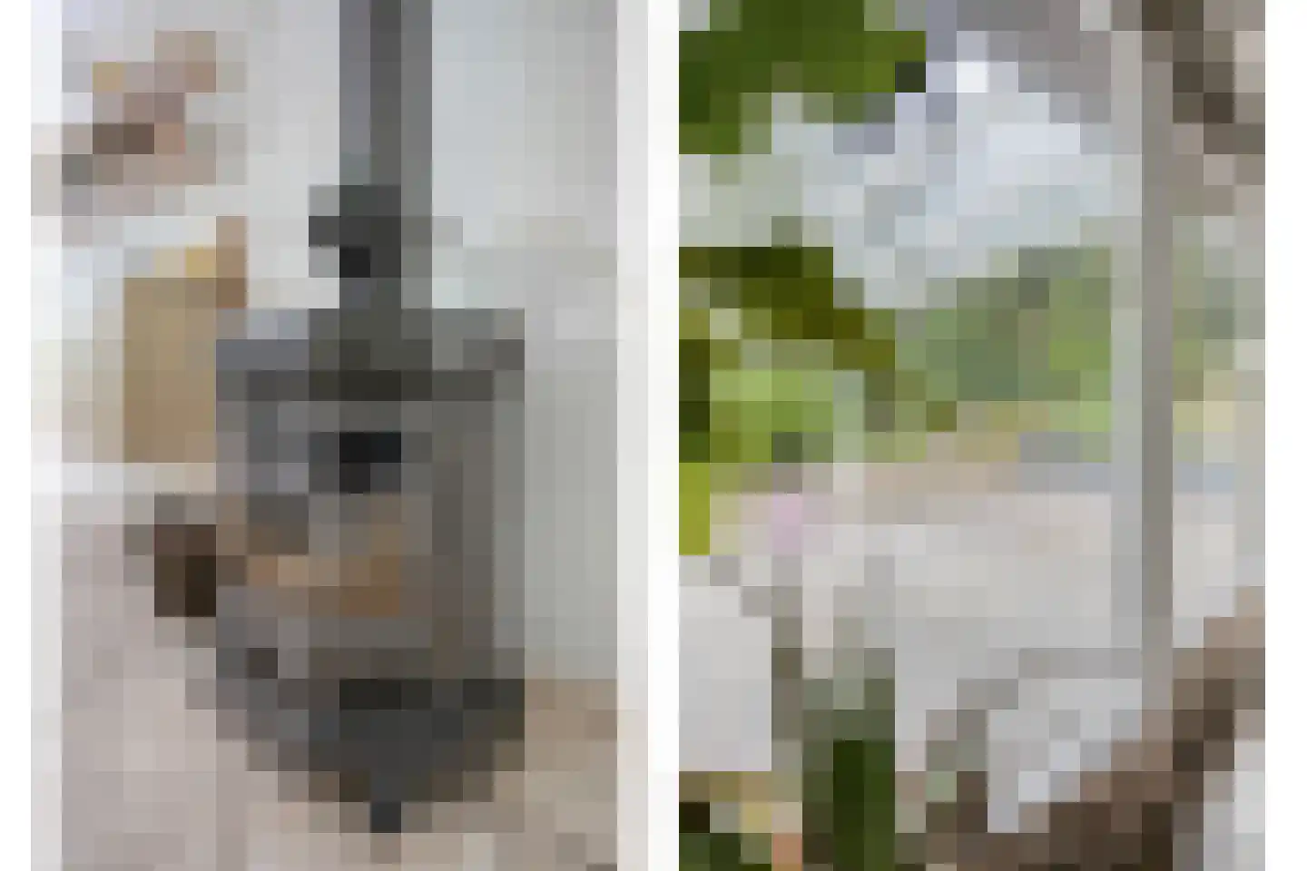 Wolfsven 11 Well L thumbnail 11