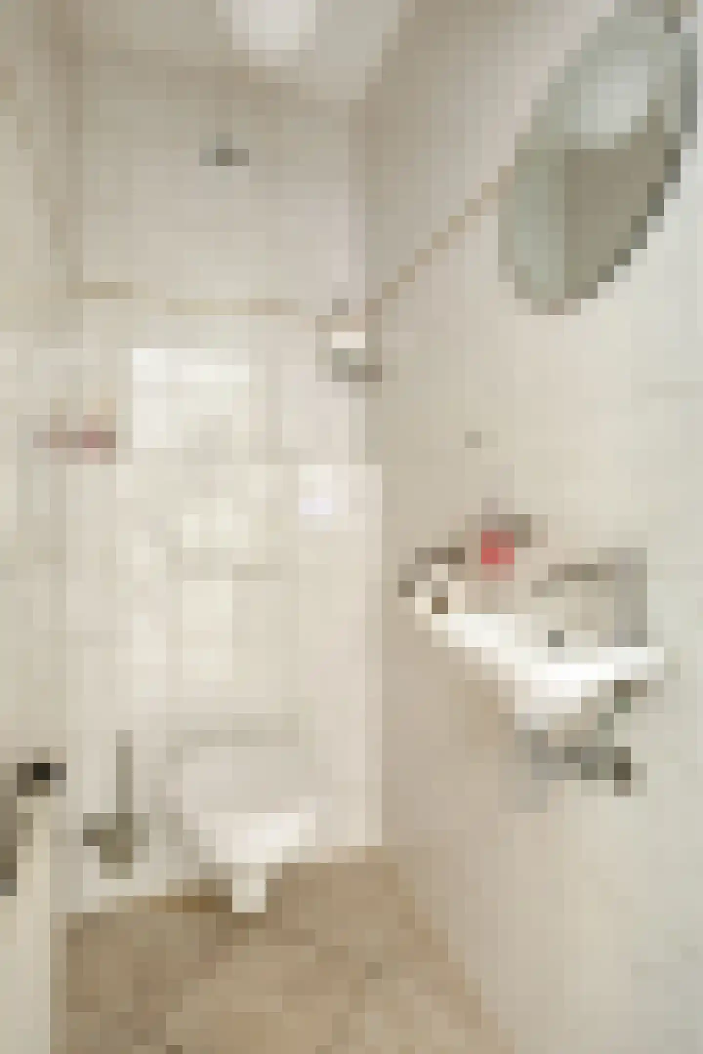 Wolfsven 11 Well L thumbnail 15