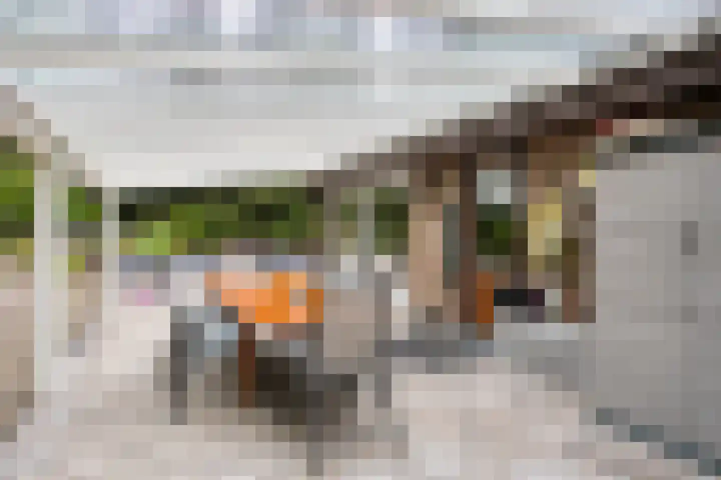 Wolfsven 11 Well L thumbnail 31