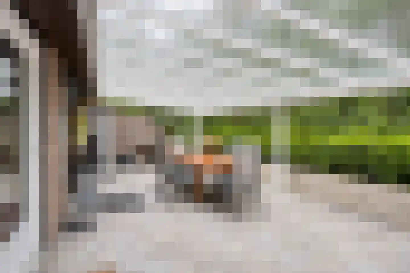 Wolfsven 11 Well L thumbnail 32