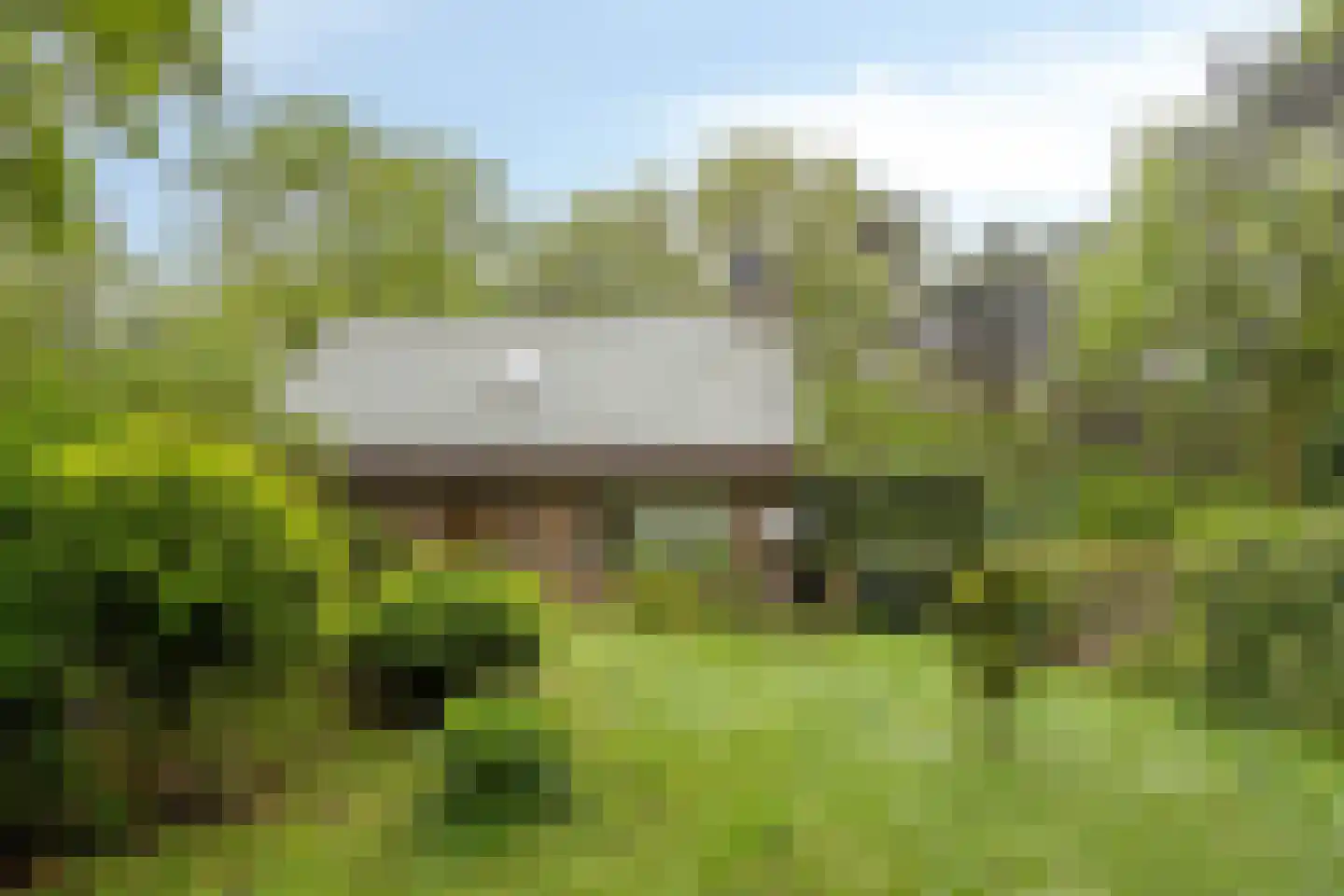 Wolfsven 11 Well L thumbnail 34