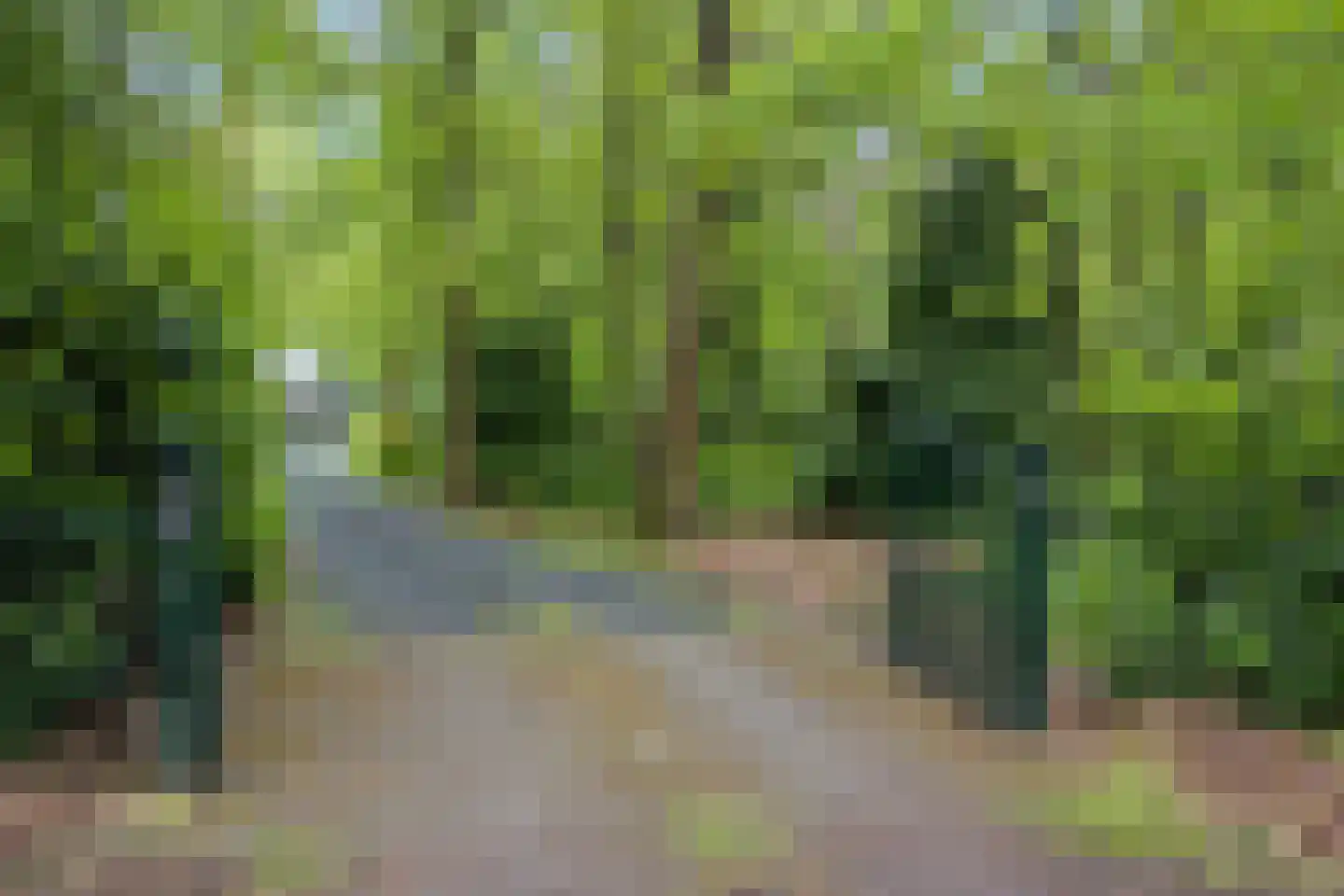 Wolfsven 11 Well L thumbnail 35