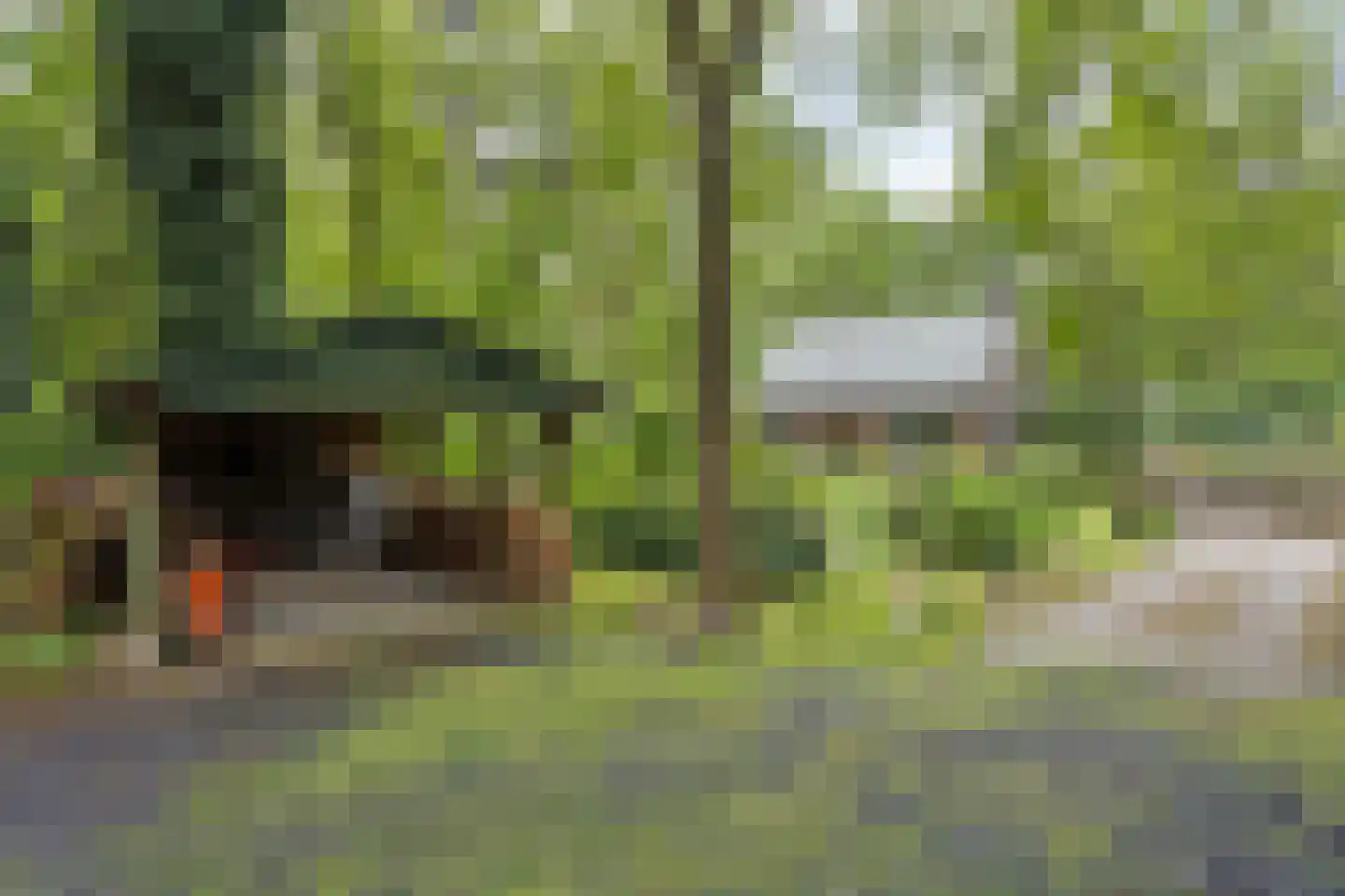 Wolfsven 11 Well L thumbnail 37