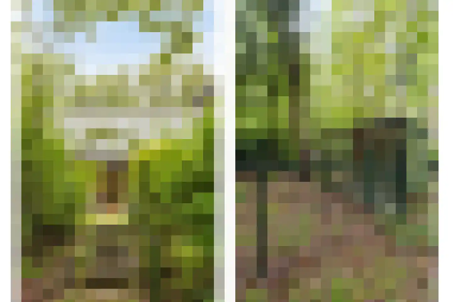 Wolfsven 11 Well L thumbnail 38