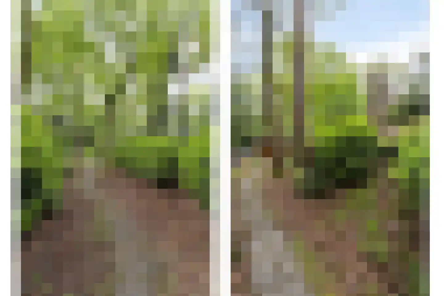 Wolfsven 11 Well L thumbnail 39