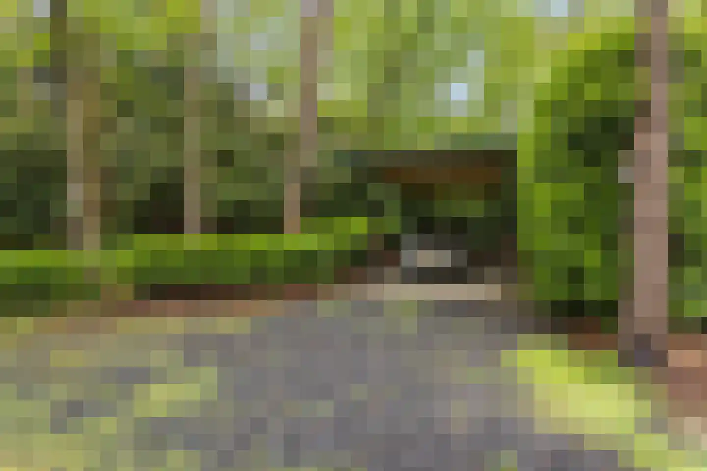 Wolfsven 11 Well L thumbnail 40
