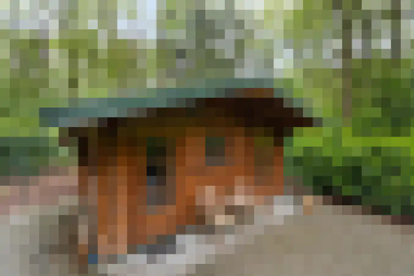 Wolfsven 11 Well L thumbnail 41