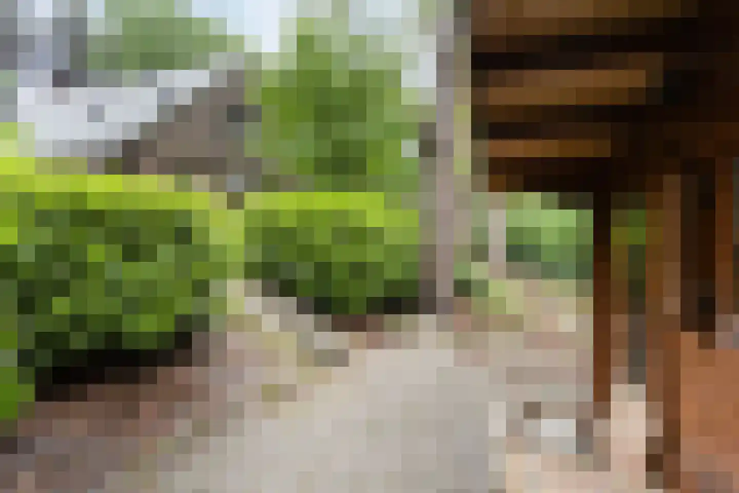 Wolfsven 11 Well L thumbnail 42