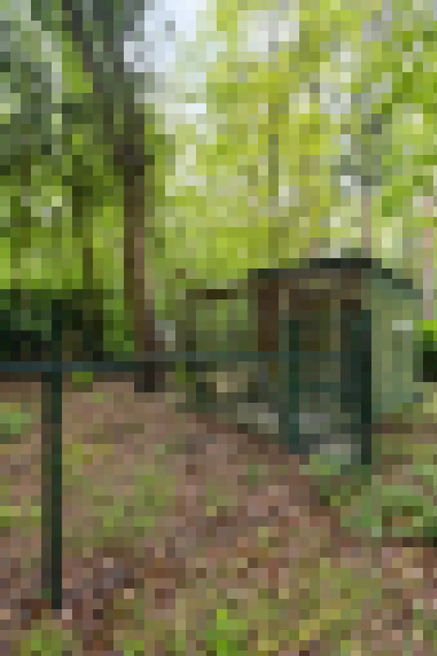 Wolfsven 11 Well L thumbnail 45